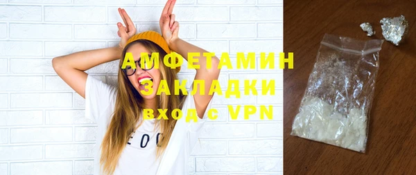стаф Аркадак
