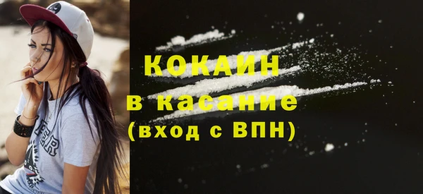 стаф Аркадак