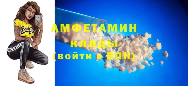 стаф Аркадак