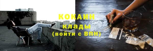 стаф Аркадак