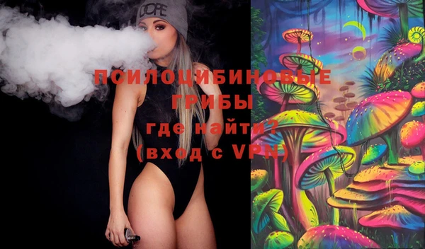 стаф Аркадак