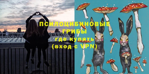 стаф Аркадак