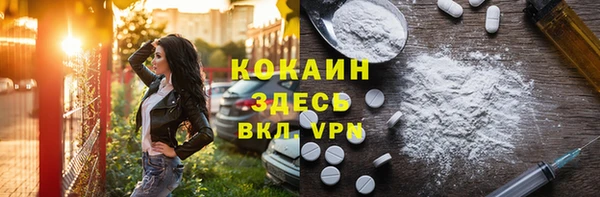 стаф Аркадак