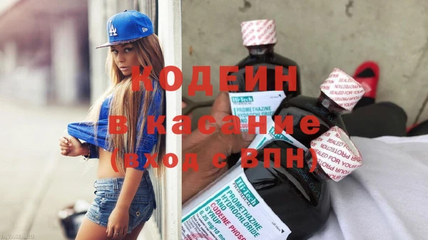 стаф Аркадак