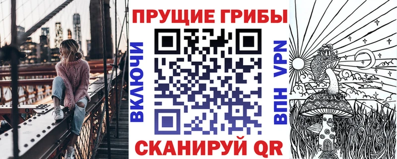 Псилоцибиновые грибы мицелий  купить  цена  Светлоград 